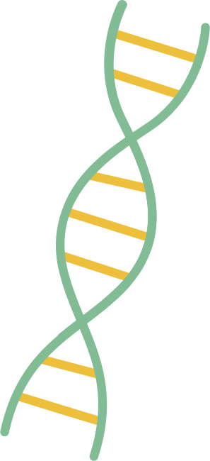 DNA